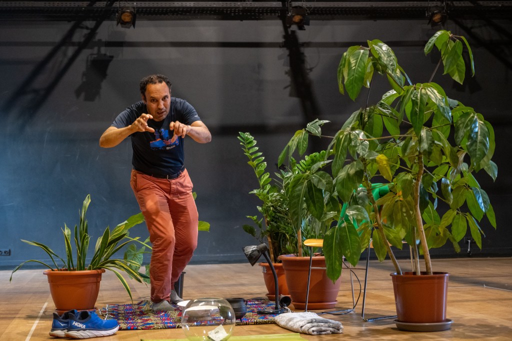 Le Terrain qu’avaient acheté mes&nbsp;Grand-Parents